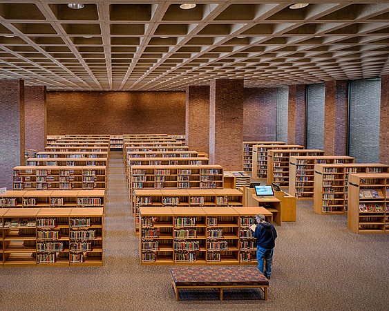 Lone Library Patron