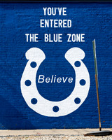 The Blue Zone