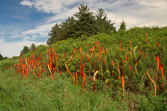 Cattails and Copper Birch Reeds sculpture