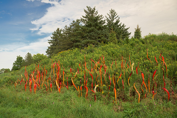 Cattails and Copper Birch Reeds sculpture