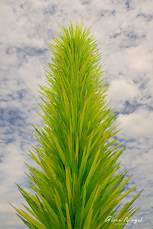 Chihuly Tree