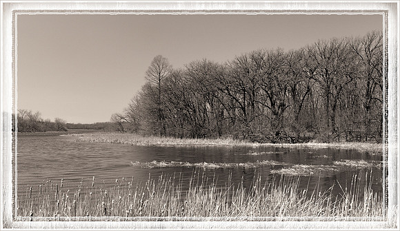 McGinnis Slough