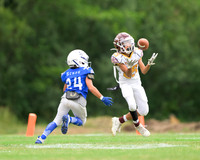 River Valley Youth Football