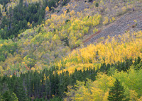 Golden Ascent