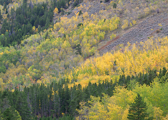 Golden Ascent