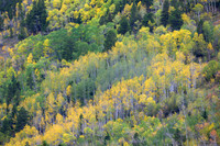 Aspen Impression