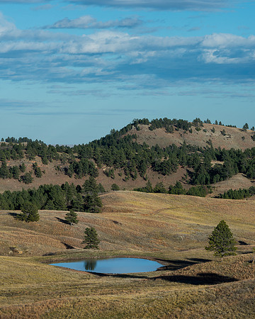 Dakota landscape