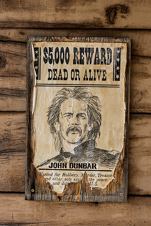 Dead or Alive