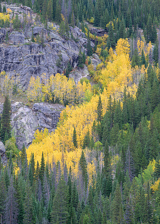 Ribbon of Gold