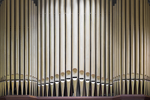 Cathedral of the Immaculate Conception