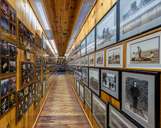 Wall of Photographs
