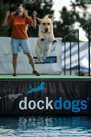 Dock dog