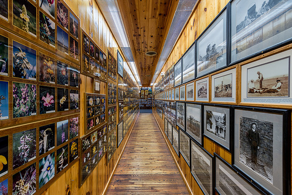 Wall of Photographs