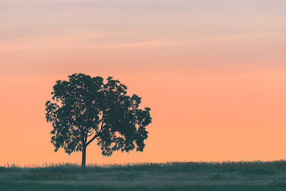Dawn at Gettysburg battlefield