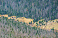 Through the High Country