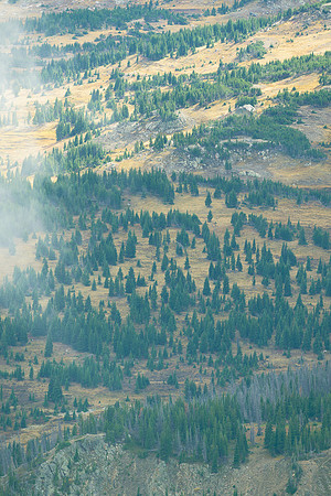 Autumn Above Treeline