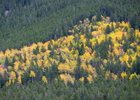 River of Gold