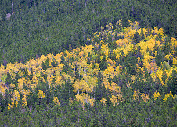 River of Gold