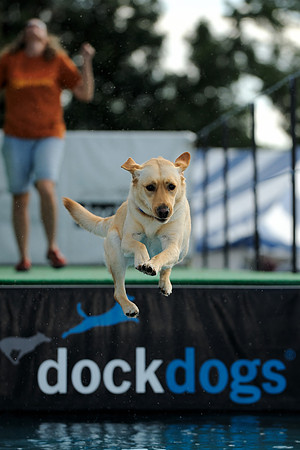 Dock dog