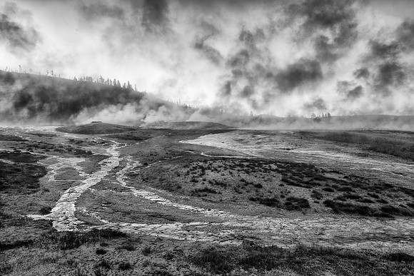 Steamy landscape