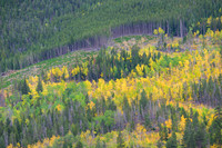 Edge of Autumn
