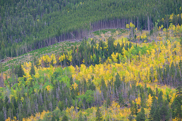 Edge of Autumn