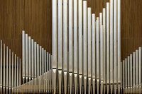 Organ Pipes