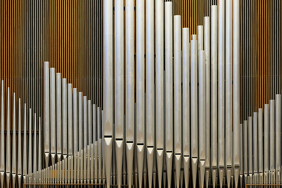 Organ Pipes