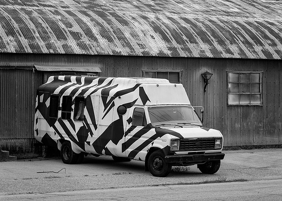 Zebra Van