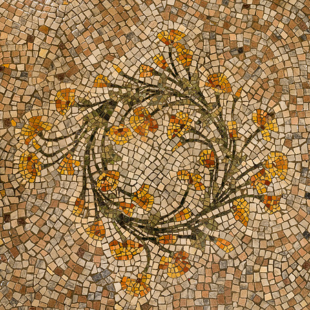 California Poppy tiles