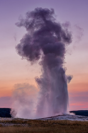 Old Faithful