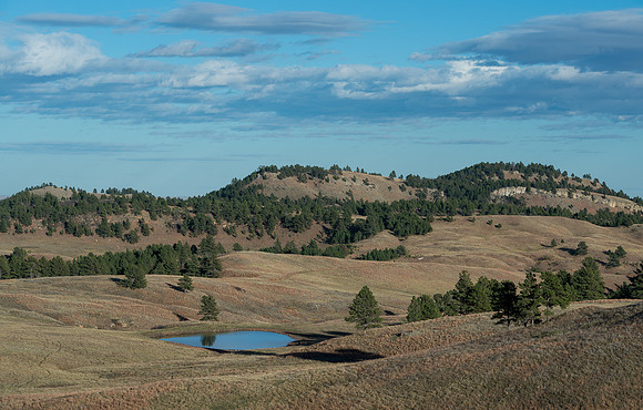 Dakota landscape