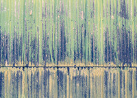 Art Emergency Wall