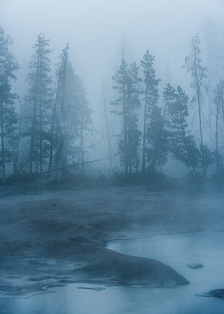 Steamy landscape