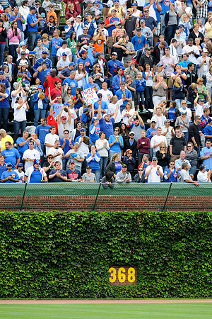 Bleacher bums
