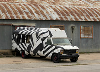 Zebra Van