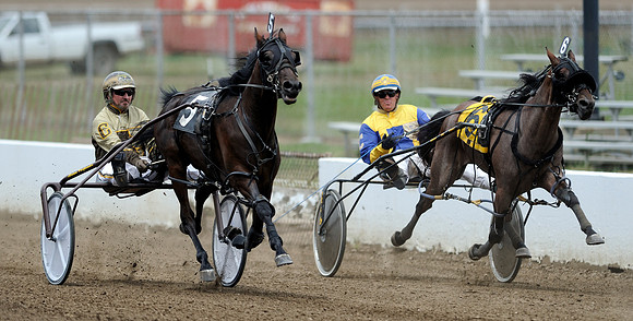 Harness racing