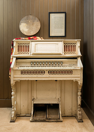 Organ