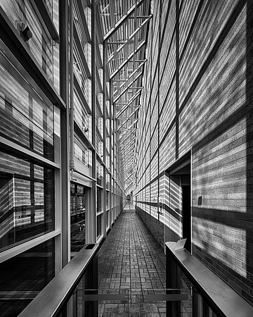 The Shadow Corridor