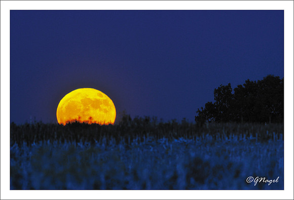 Full moon rising