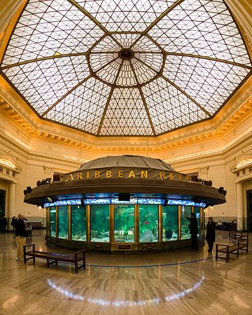 Shedd Aquarium