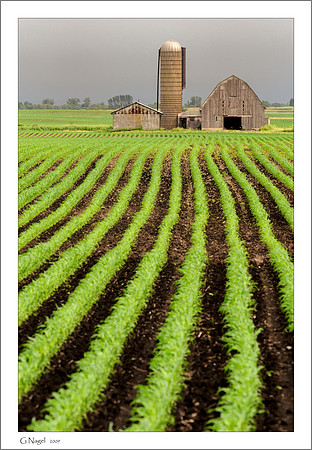Farm field