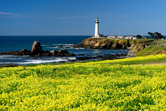 Pigeon Point Lighthouse
