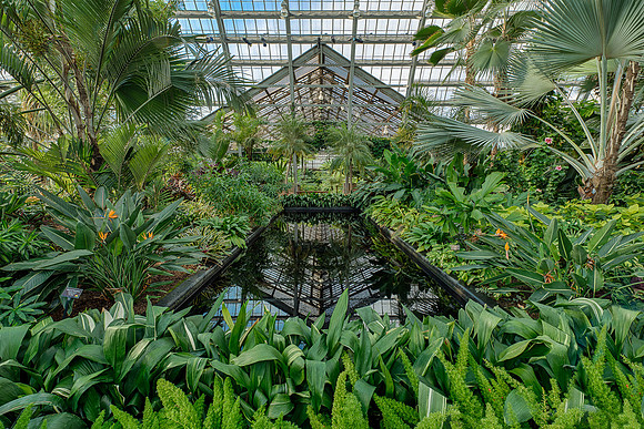 Palm House