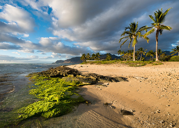 Maili Beach