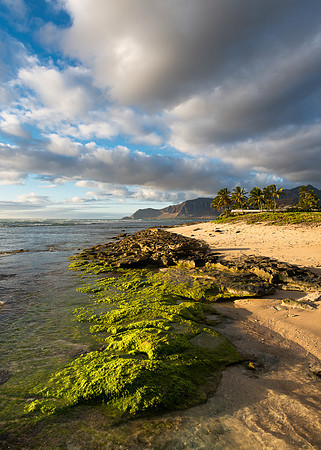 Maili Beach