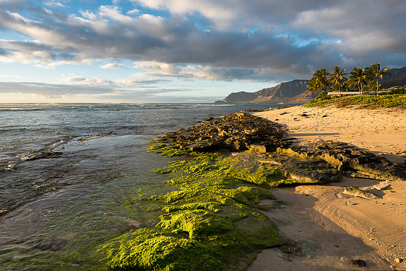 Maili Beach