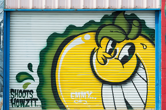 Honolulu wall art