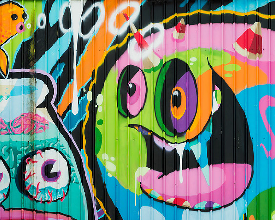 Honolulu wall art
