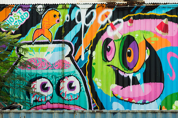 Honolulu wall art